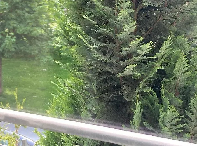 Toll Mit Privatem Eingang Free Parking Slbst Check-in 30 Zone Ruhig Keine * Duisburg